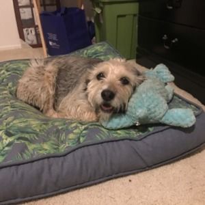 Meet your Posher, Michele